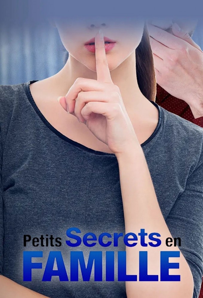 Little family secrets series poster