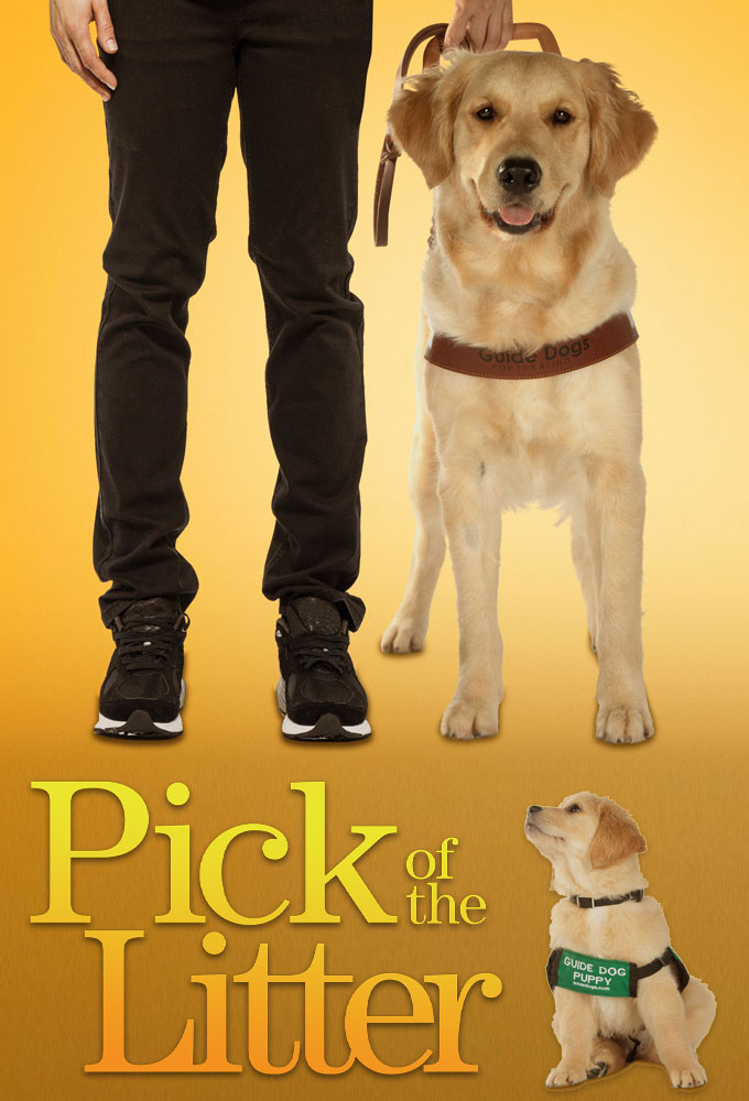 Pick of the Litter series poster