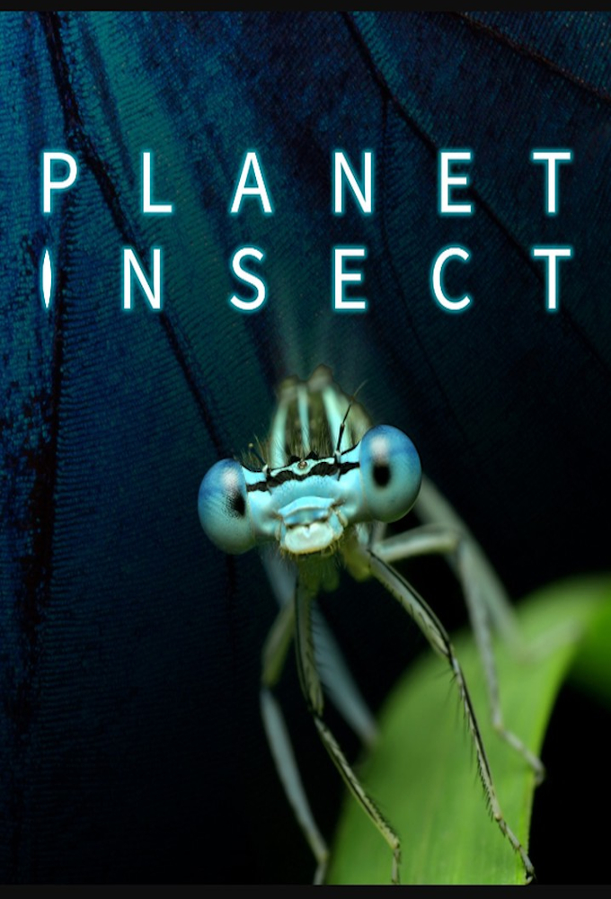 Planet Insect series poster