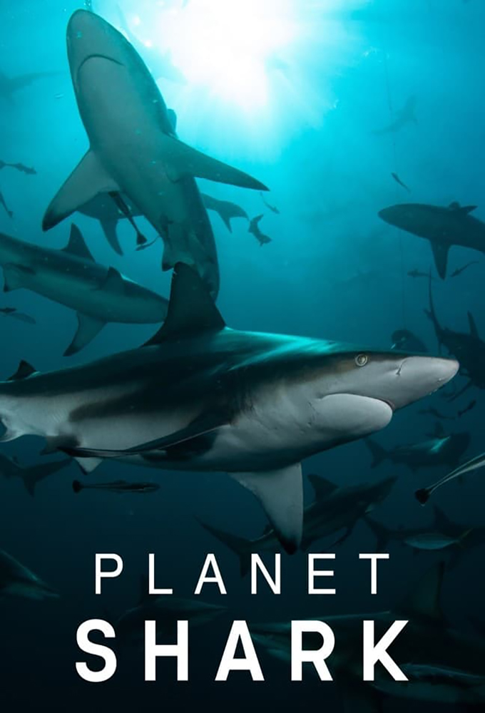 Planet Shark series poster