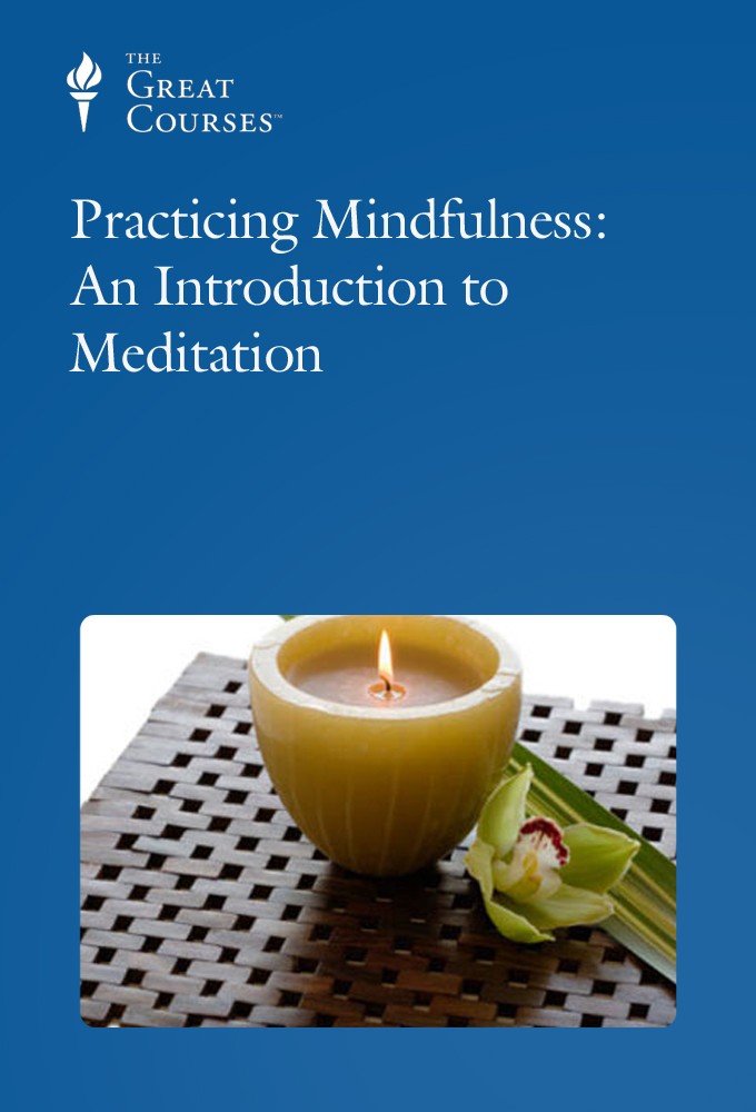 Practicing Mindfulness: An Introduction to Meditation series poster
