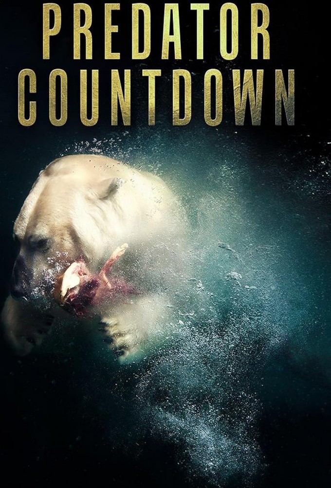 Predator Countdown Image