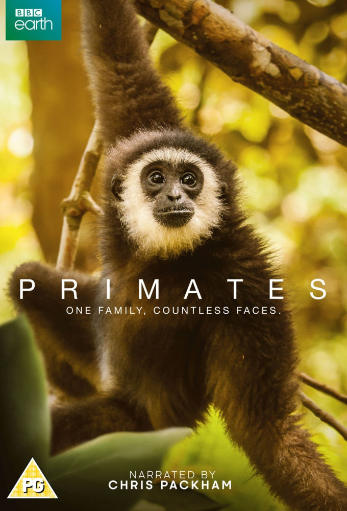 Primates Image