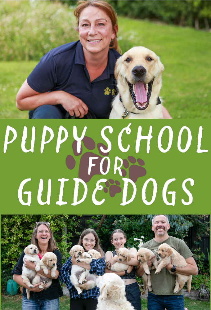 Puppy School for Guide Dogs series poster