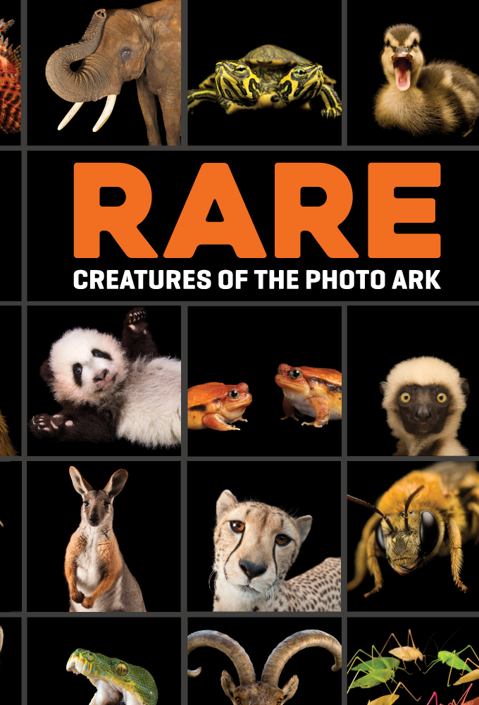 Rare: Creatures of the Photo Ark Image