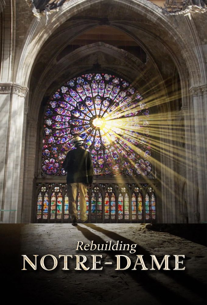 Rebuilding Notre-Dame Image