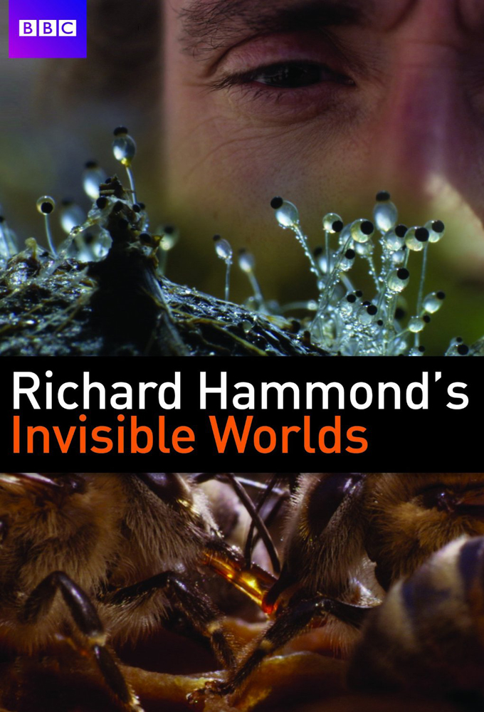 Richard Hammond's Invisible Worlds Image