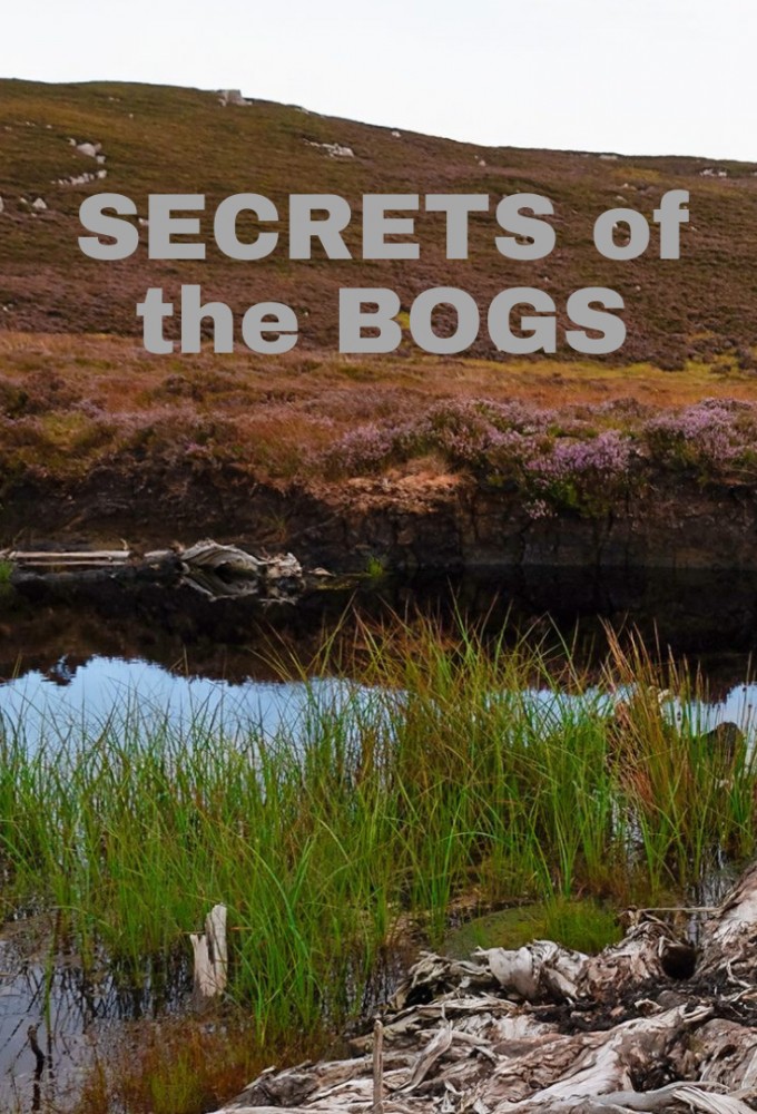 Secrets of the Bogs Image