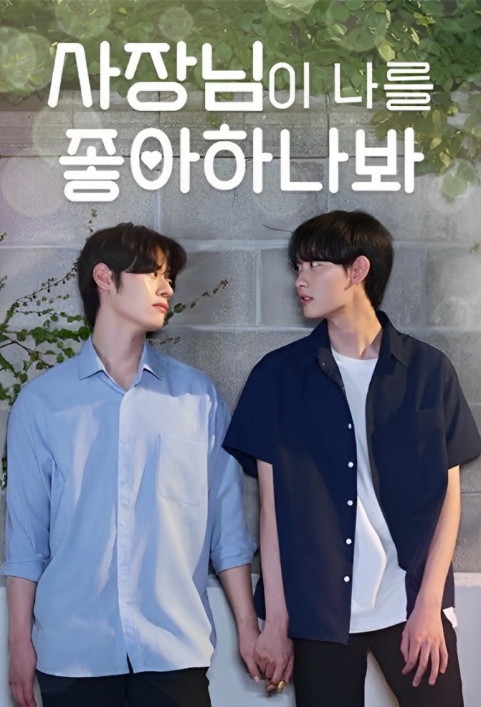 Falling for My Boos series poster