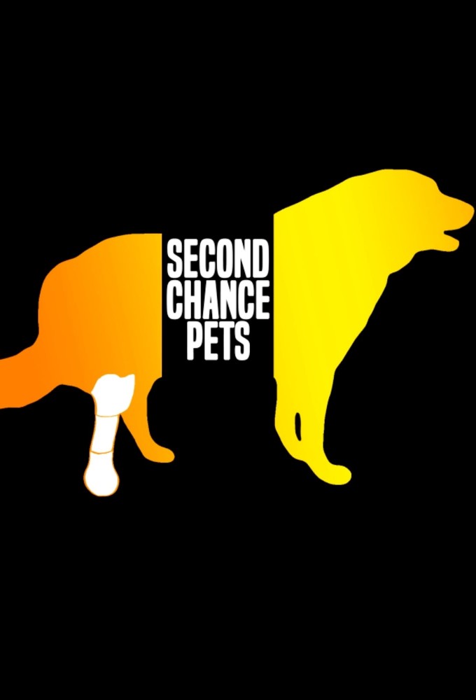 Second Chance Pets Image