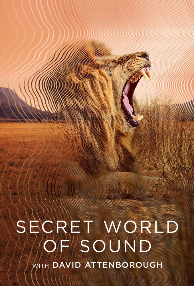 Secret World of Sound with David Attenborough    series poster