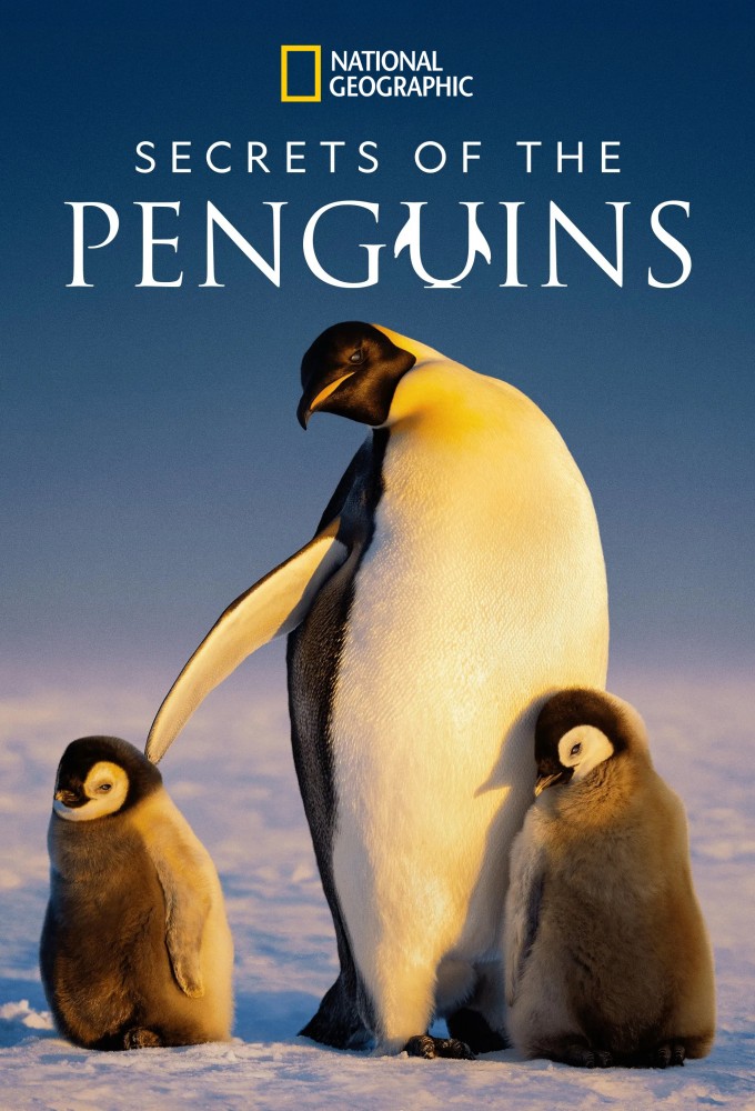 Secrets of the Penguins Image