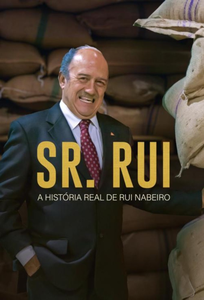 Mr Rui series poster