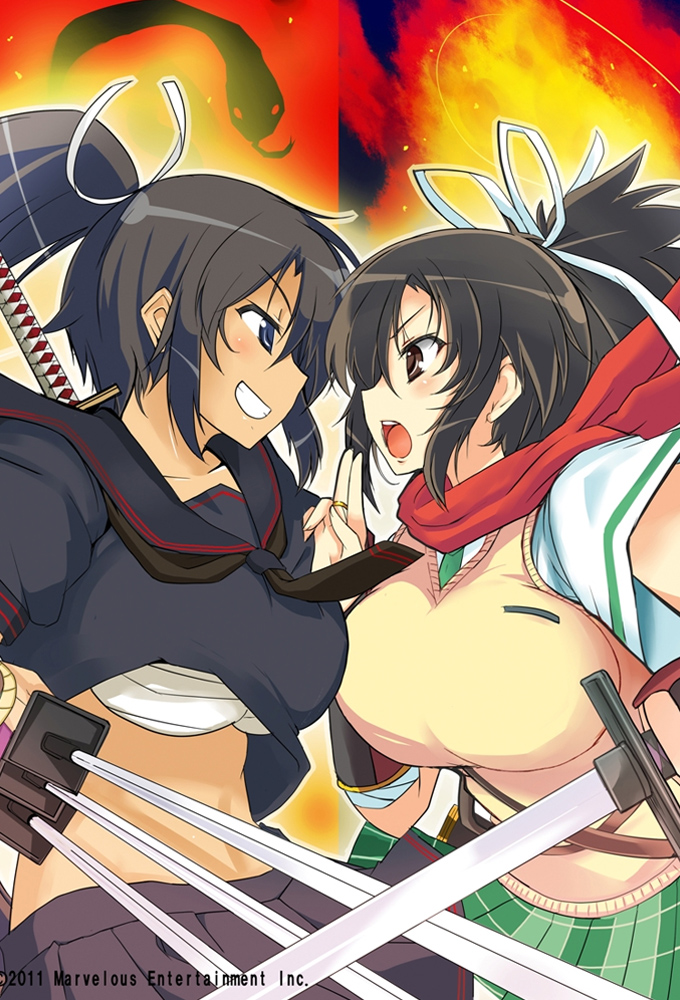Senran Kagura series poster