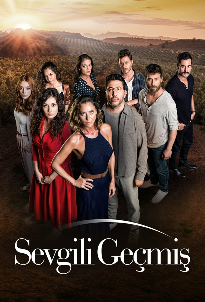 Sisterhood series poster