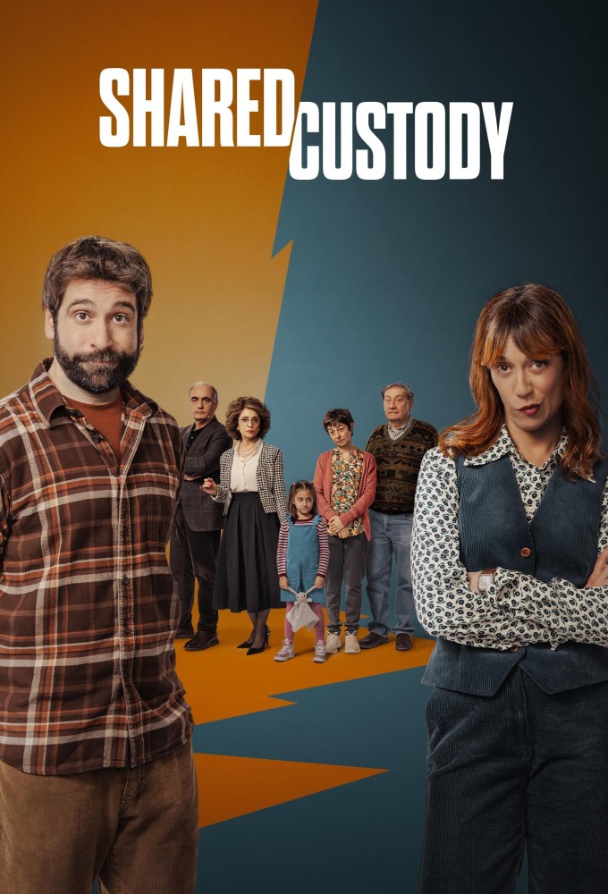 Shared Custody series poster