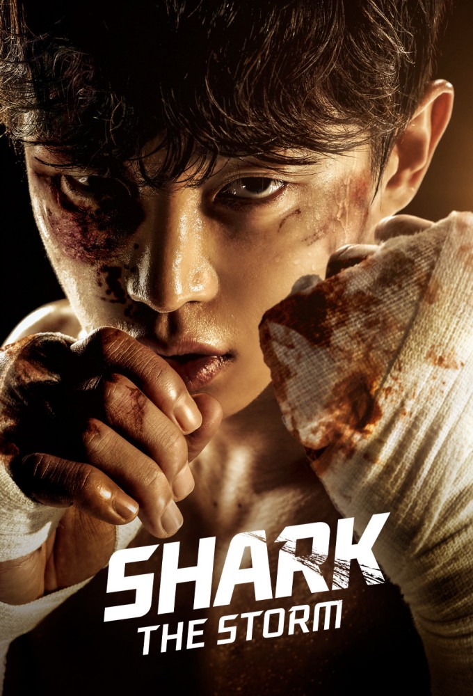 Shark: The Storm series poster