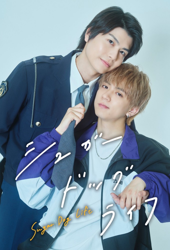 Sugar Dog Life Image