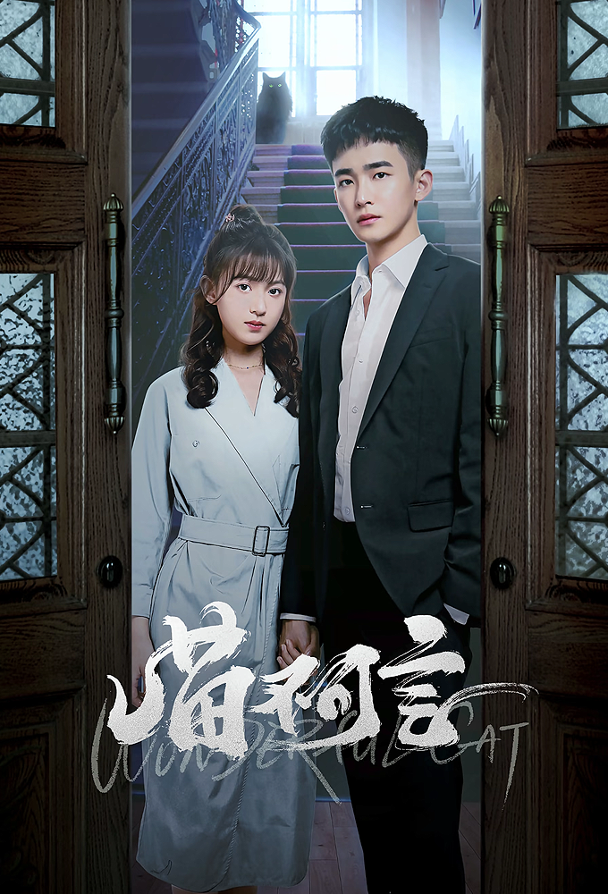 Silent Love series poster