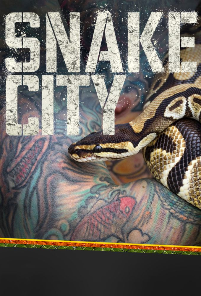Snake City Image