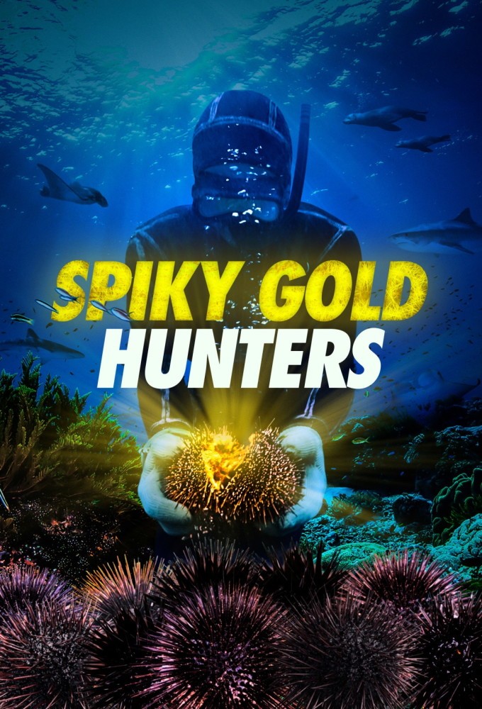 Spiky Gold Hunters series poster