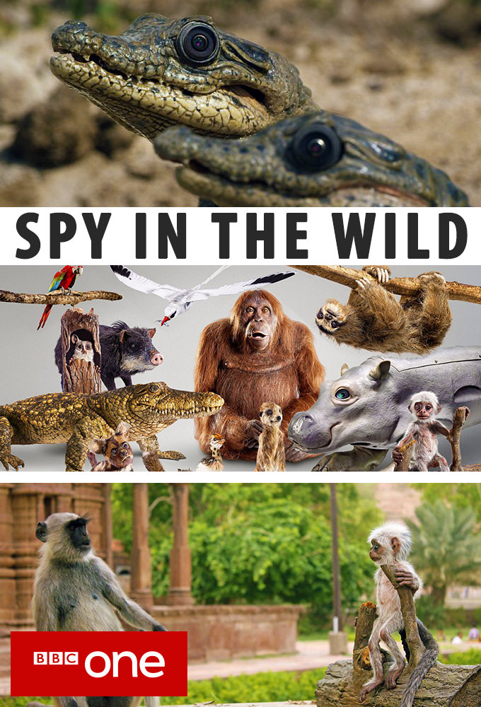 Spy in the Wild series poster