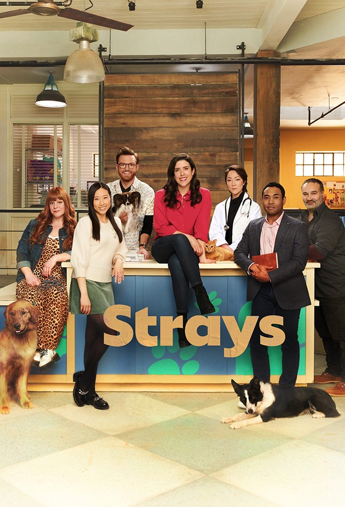 Strays series poster