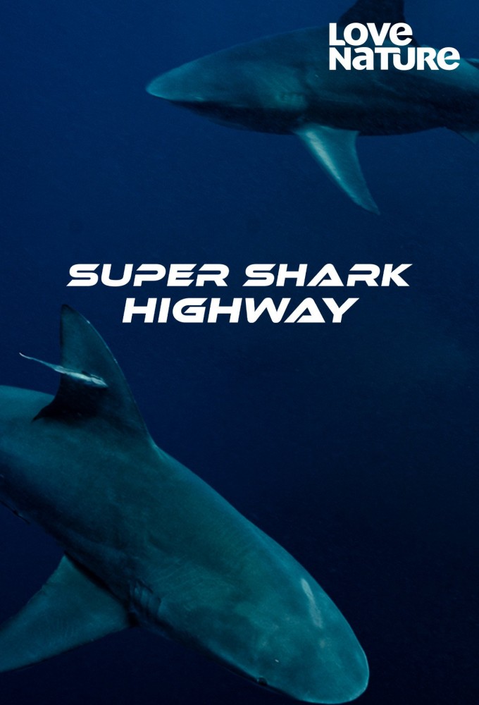 Super Shark Highway Image