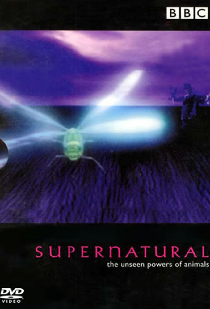 Supernatural: The Unseen Powers of Animals Image