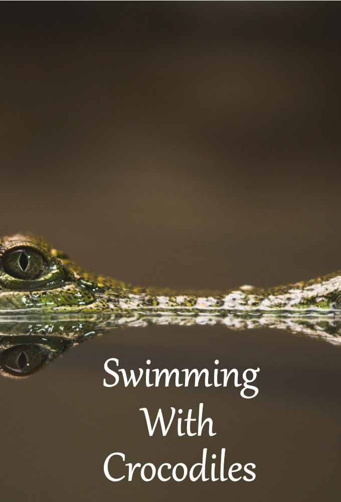 Swimming With Crocodiles Image