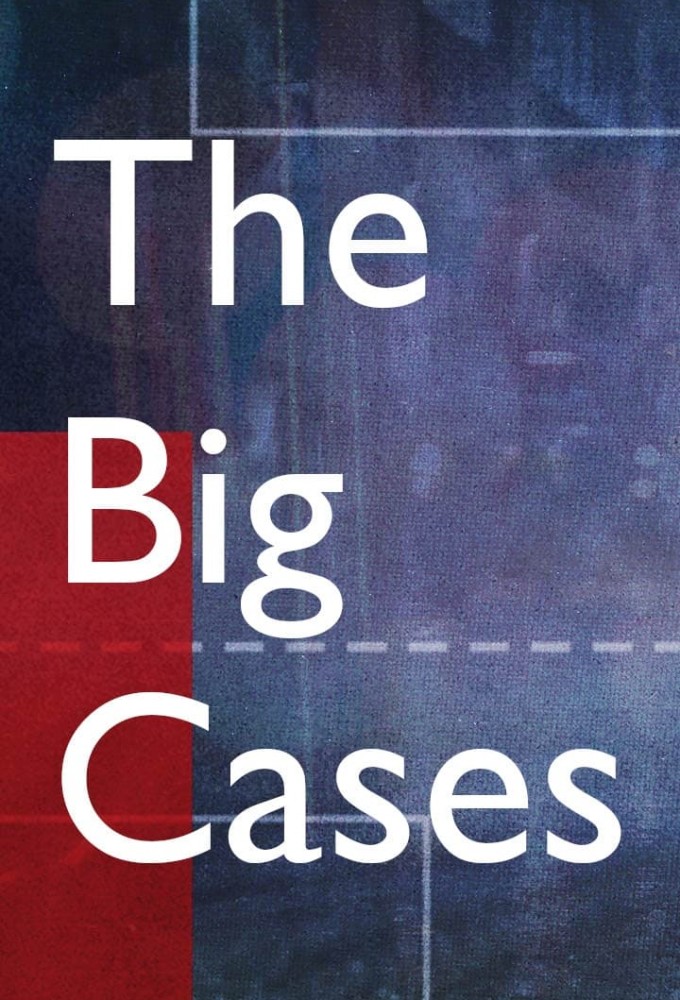 The Big Cases Image