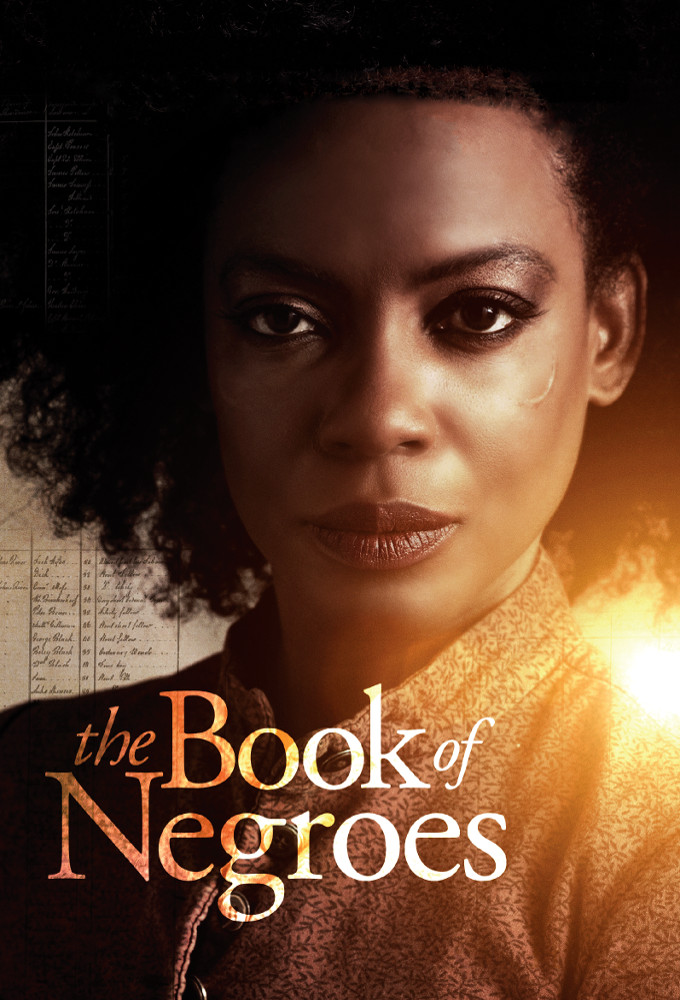 The Book of Negroes series poster