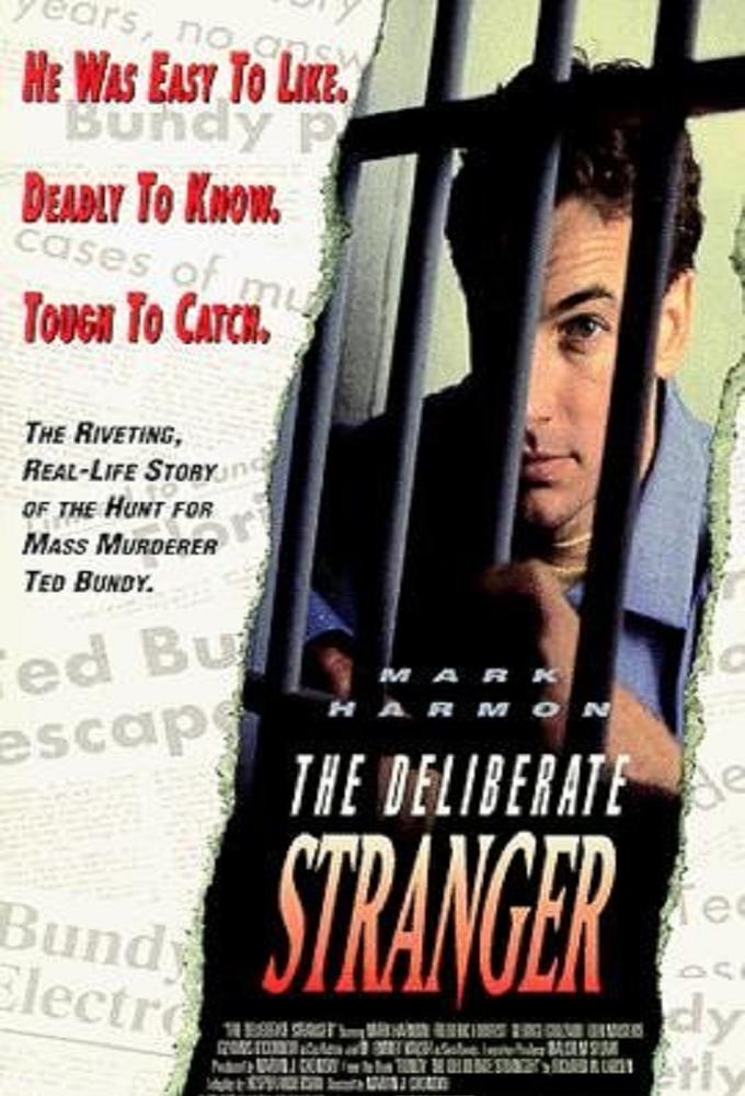 The Deliberate Stranger series poster