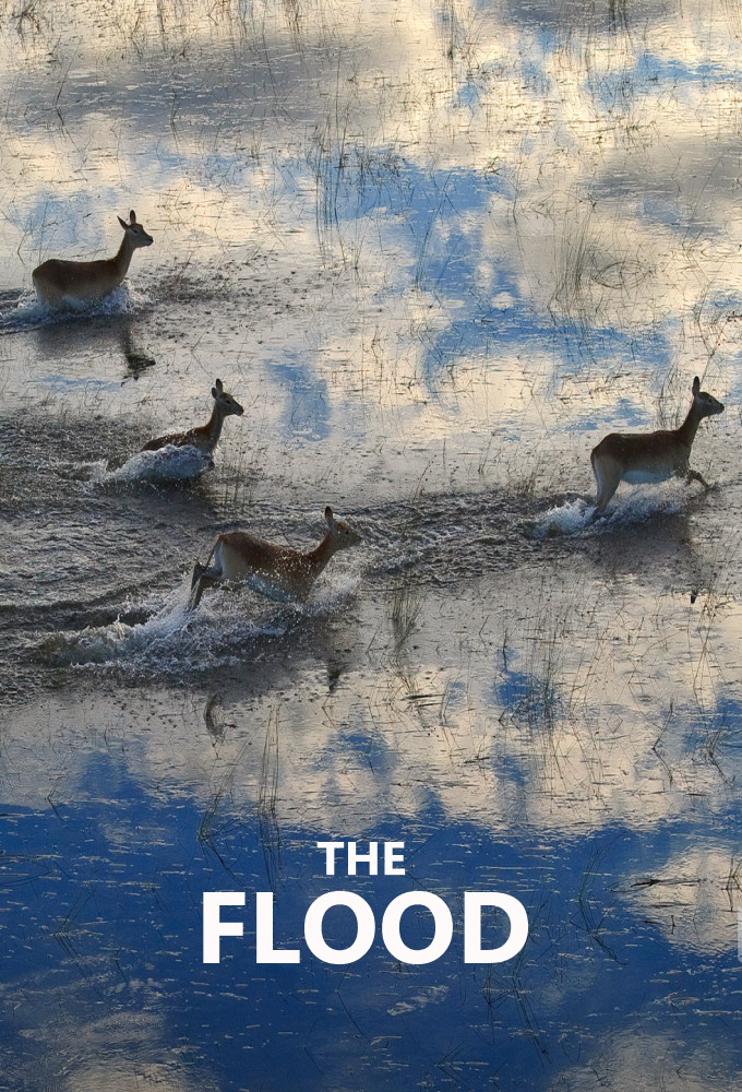 The Flood (2018) series poster