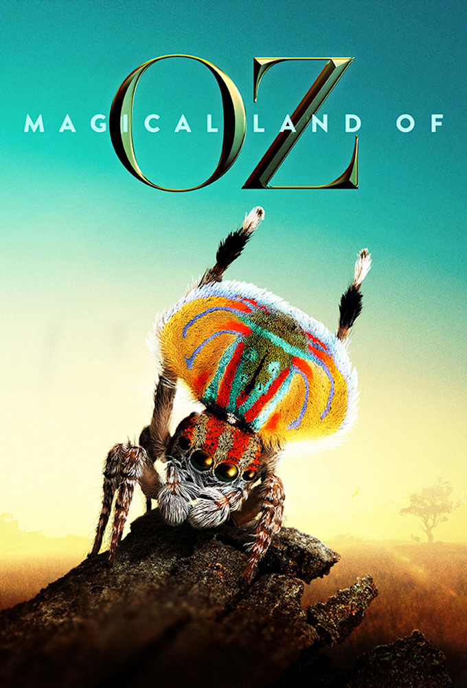 Magical Land of Oz series poster