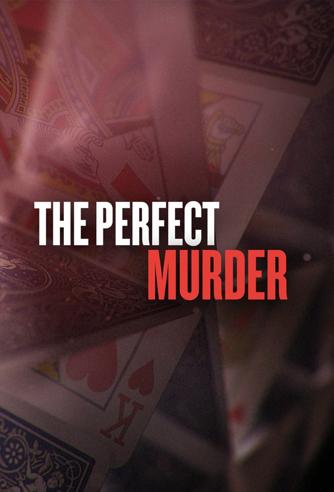 The Perfect Murder series poster