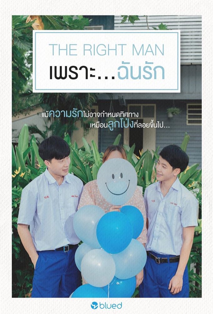 The Right Man series poster