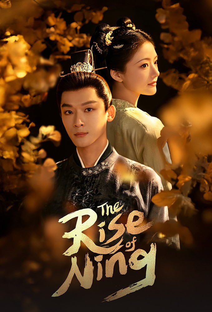 The Rise of Ning series poster