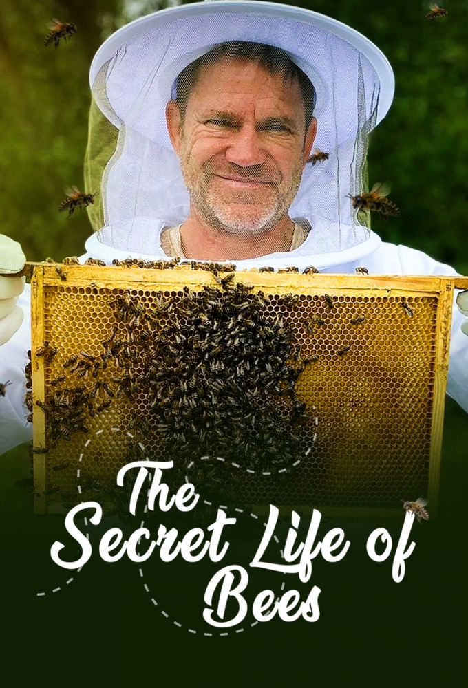 The Secret Life of Bees Image