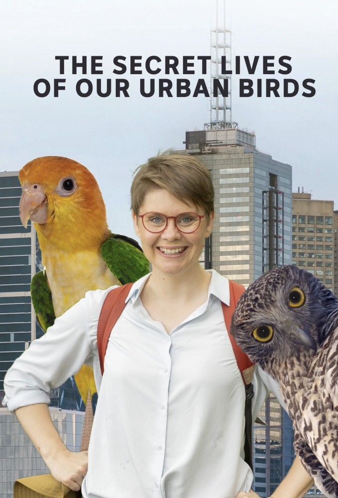 The Secret Lives Of Our Urban Birds Image