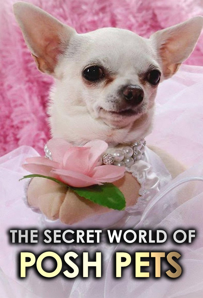The Secret World of Posh Pets series poster