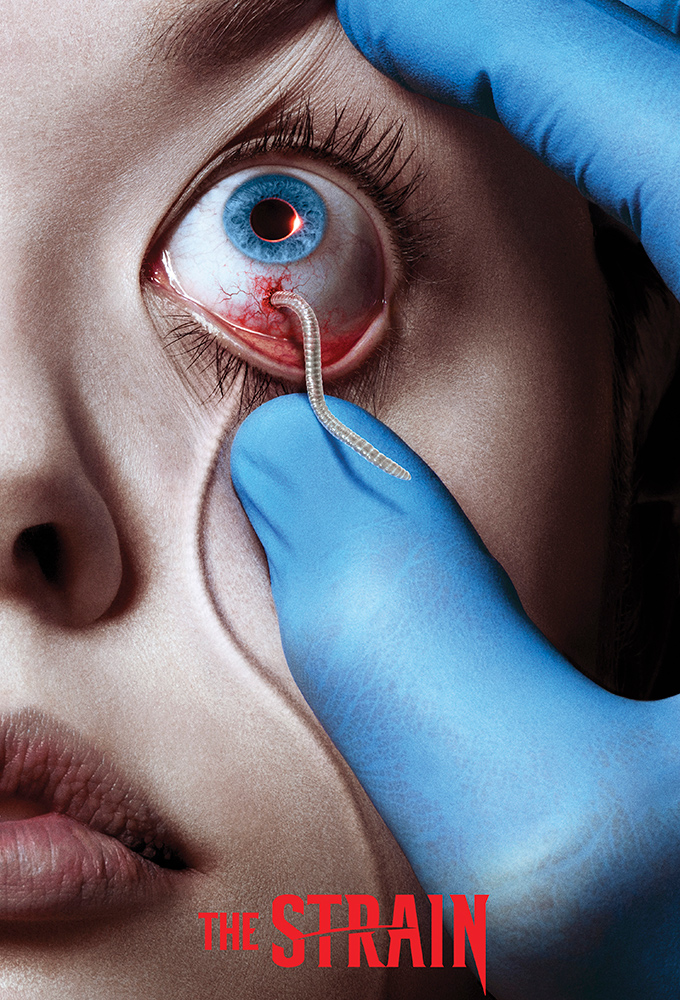 The Strain Image