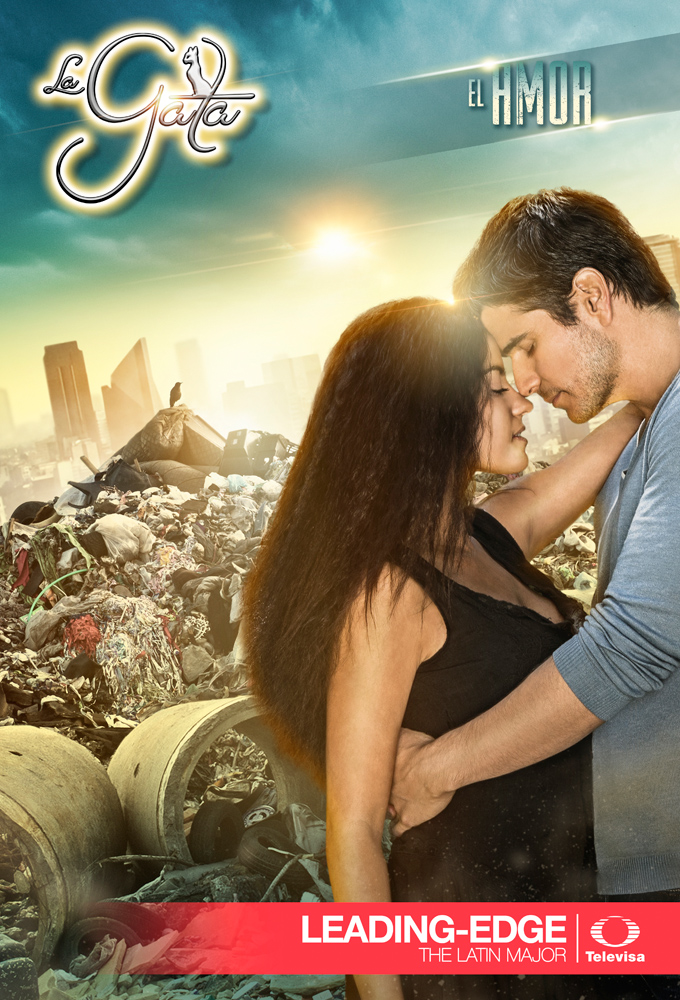 The Stray Cat series poster