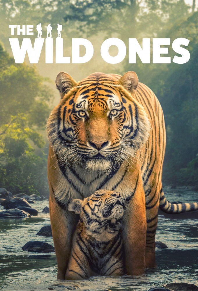 The Wild Ones (2025) series poster