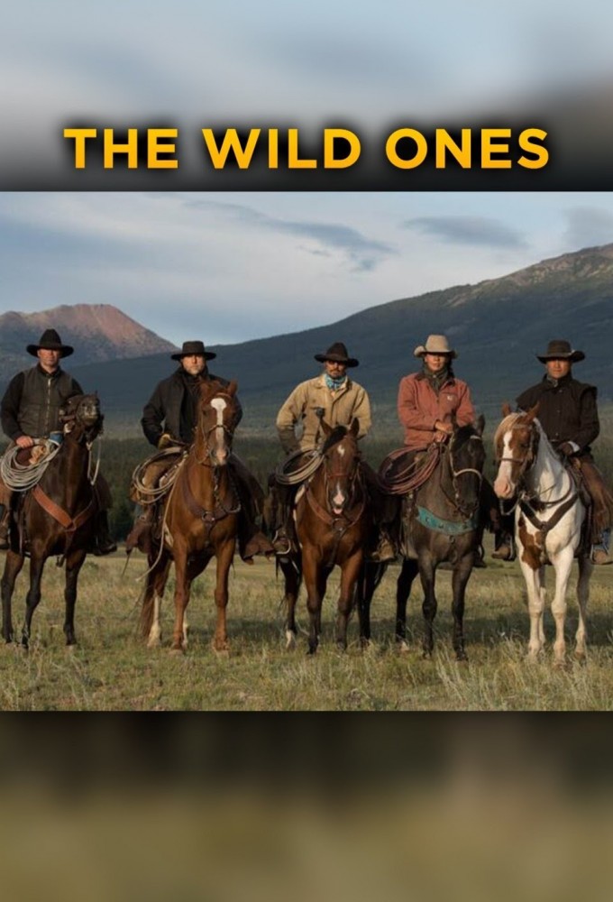 The Wild Ones series poster