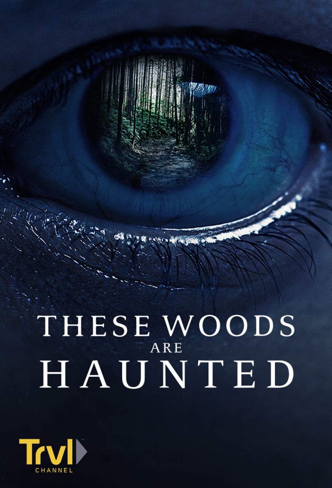 These Woods are Haunted series poster