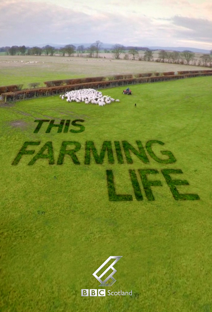 This Farming Life Image