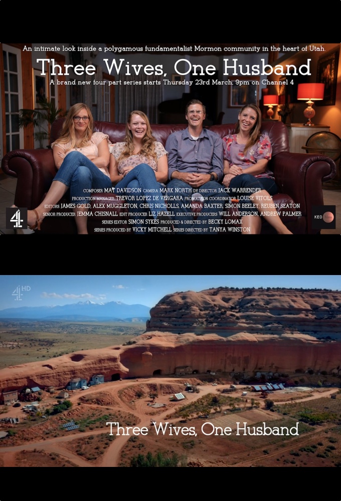 Three Wives, One Husband series poster