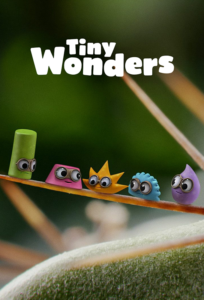Tiny Wonders Image