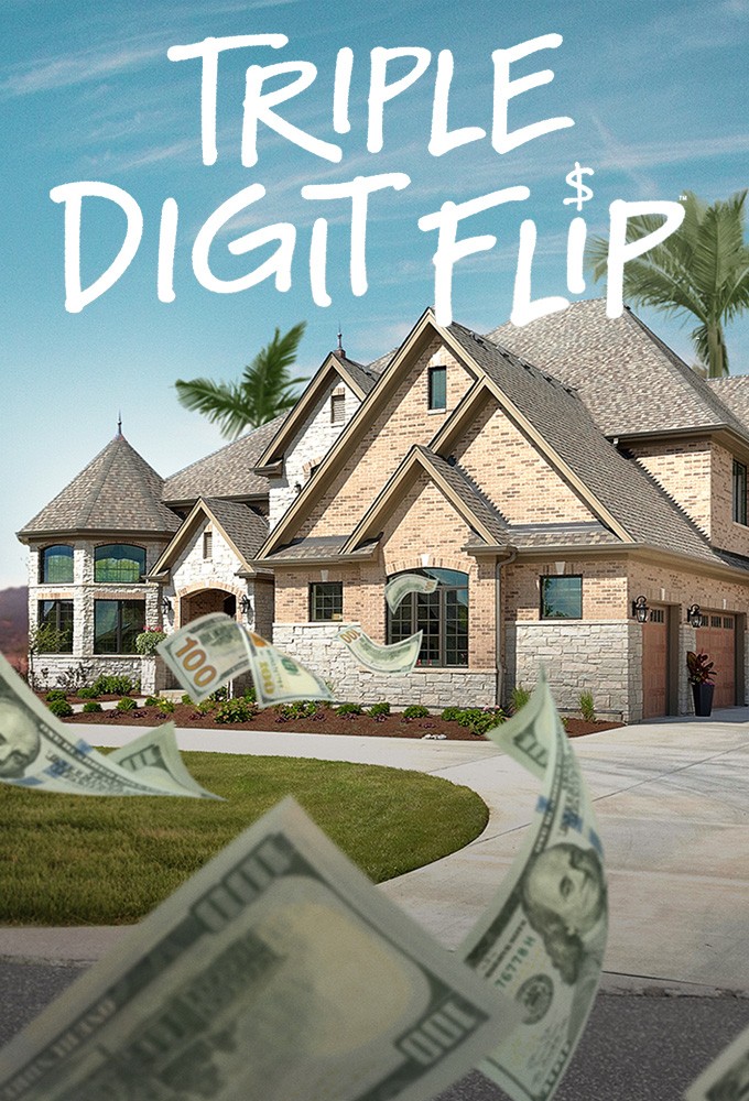 Triple Digit Flip Image